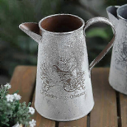 Iron Watering Can for Garden Flower Decoration 2