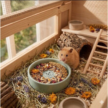 Fressnapf für Hamster Snufy in mintgrün mit Wasser und Futter