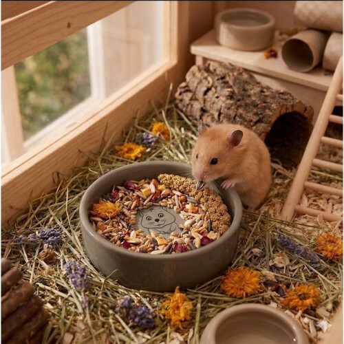 Comedouro e bebedouro para hamster Snufy toupeira
