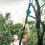 Living And Home Cordless Telescopic Pole with Brushless Chainsaw and Brushless Pruner Shear 1