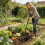 Adaptable 4 Blade Garden Implement Suitable For Urban Balconies 2