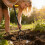 Adaptable 4 Blade Garden Implement Suitable For Urban Balconies 4