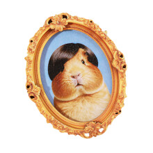 Refrigerator Magnets Fridge Magnets for Locker-Wigged rat