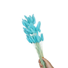 60Pcs Natural Hare Tails Grass Dried Flower 23.6Inch-Nilan