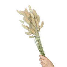60Pcs Natural Hare Tails Dried Flower For Home-primary color