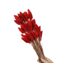 60Pcs Natural Dry Hare Tails 23.6Inch Height Natural- Big red.