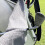 Prosop de golf din microfibră cu clemă tip carabină, model vafe, absorbant 4