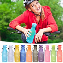 Wzzjkit Wasserflasche transparent matt 550 ml