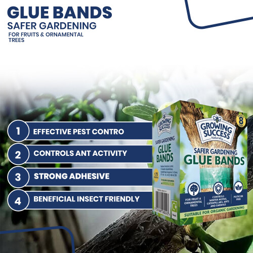 Westland Growing Success Glue Band Traps 1.75m 2
