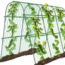 Garden Arch Trellis with Insect Mesh, Durable Vertical Growing Support for Vegetables and Fruits