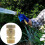 Kaireo Vandsprinklerforbindelse - Lynkoblingsslange Messingfitting 5