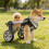 Adjustable Dog Two Wheel Wheelchair Mobility Aid- L 6