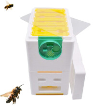 Beekeeping Starter Kit for Beginners, Complete DoubleLayer Beehive Box Set with Queen Bee Mate Foam