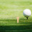 Bamboe golftees, 50 stuks 5