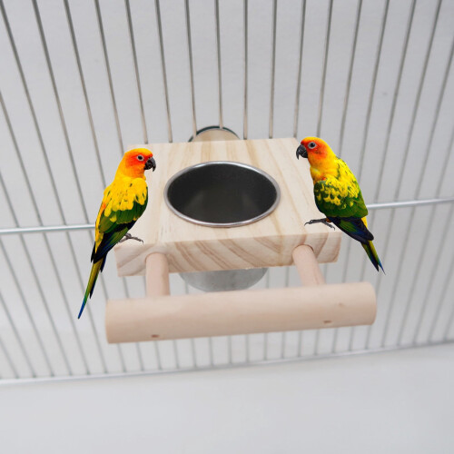Bird feeding cup with platform and perch for parrots 1