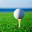Bamboe golftees, 50 stuks 6