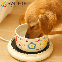 Bebedouro aquecido para cães RAPEJE, dispensador inteligente para animais de estimação com temperatura constante, fonte de água de cerâmica