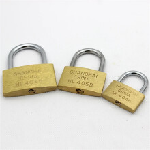 20mm Copper Padlock with Wolf Head Design, Rust Resistant Brass Core, Keyed Alike, 2 Keys Included