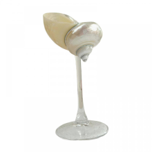 (A) Champagnerglas aus Muschelschale, Geschenkidee, einzigartiger Kelch, geeignet für Frauen, Männer und Erwachsene
