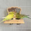 Perchoirs à oiseaux avec miroir et plat à nourriture pour cage, 4