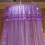 Majestic Ace mosquito net with string lights 2