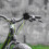 Campainha de bicicleta retrô preta (2 peças) 2