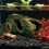 Breeding Cave Cave Terrarium Landscape Artificial Cave-9 7