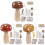 Ensemble de reprisage de champignons en bois sans danger-brun 2