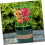 Adjustable Round Wire Plant Support Trellis for Garden Tomato Plants, SpaceSaving Stable Frame 4