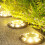 WSBDENLK Solar Ground Lights Warm Light 2 Pack 3