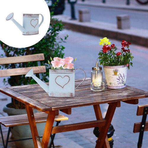 Eease Rustik Galvaniseret Vandkande til Planter og Blomster 1