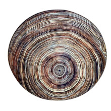 Okrągły dywan Godom Wood Grain do salonu, do jogi