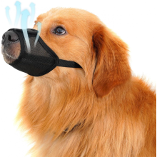 (XS) Hundemaulkorb zum Schutz vor Giftködern mit verstellbaren Riemen