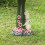 Fengga vogelbadornament van hars, 20 x 16,5 cm 5