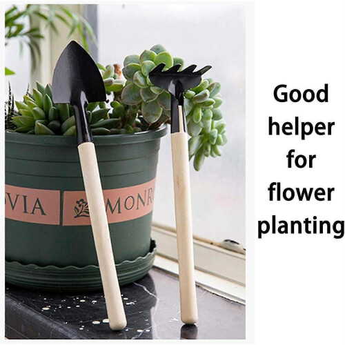 Small Horticultural Tools Horticultural Kits Small Flower Planting Tools Horticultural Tools 1