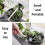 Small Horticultural Tools Horticultural Kits Small Flower Planting Tools Horticultural Tools 3