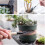 Small Horticultural Tools Horticultural Kits Small Flower Planting Tools Horticultural Tools 4
