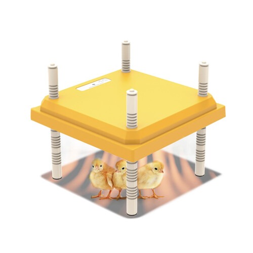 Chick Brooder Heater 12x12 with Adjustable Temperature and Height Plate, Feeder and Waterer for 20 Chicks 1