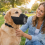 ELMER1 Mesh Dog Muzzle, Anti-bite, Anti-bark, Practical, Soft, Adjustable and Breathable, For Training Sessions. 1