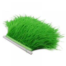 (Apple Green)5yards Ostrich Feathers Trim 8-10 Cm Plumes Ribbon Selvage Compatible with Diy Wedding Dress Decoration Crafts Accessories Whol