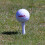 Plast golfplugger / slottplugger 39 mm (20 stk) blå 2