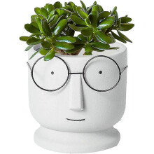 Face Planter Planter Cement Flower Pots,small Ceramic Succulent Pot,creative Glasses Face Plant Pots Cactus Pots for Home Office Wedding Decor 13*13*1