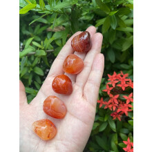 Carnelian tumbled stones 0.75 to 1 inch