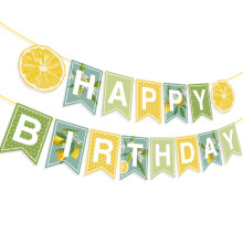 2Pcs Lemon Birthday Banner Set, Bright Lemon Theme Party Decorations for Summer, Reusable Cardstock