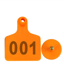 Orange Cattle Ear Tags 501600 Set, Durable Livestock Ear Tag for Cow Identification and Easy Replacement