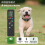 (a set) Remote Dog Training Collar with Color Screen, Shock, Vibration, Beep, Waterproof IPX7, Long Range 1000ft, for Small, Medium, Large Dogs 2