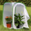 Set van 2 insecten- en vlinderhabitatkooien 2