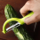 Stainless Steel Potato Peeler Vegetable Fruit Peeler With Handle Kitchen Gadget Tool 4