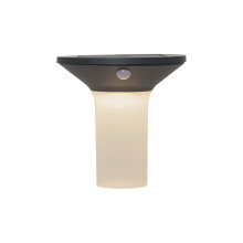 LED Solar-Wandleuchte ,Valta', Bewegunsmelder, Dämmerungssensor, anthrazit, warmweiß, 16cm