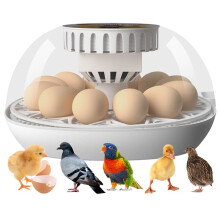 Automatic Egg Incubator for Chicken Duck Quail with Stable Incubation Control and Egg Candler